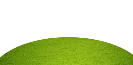 sol